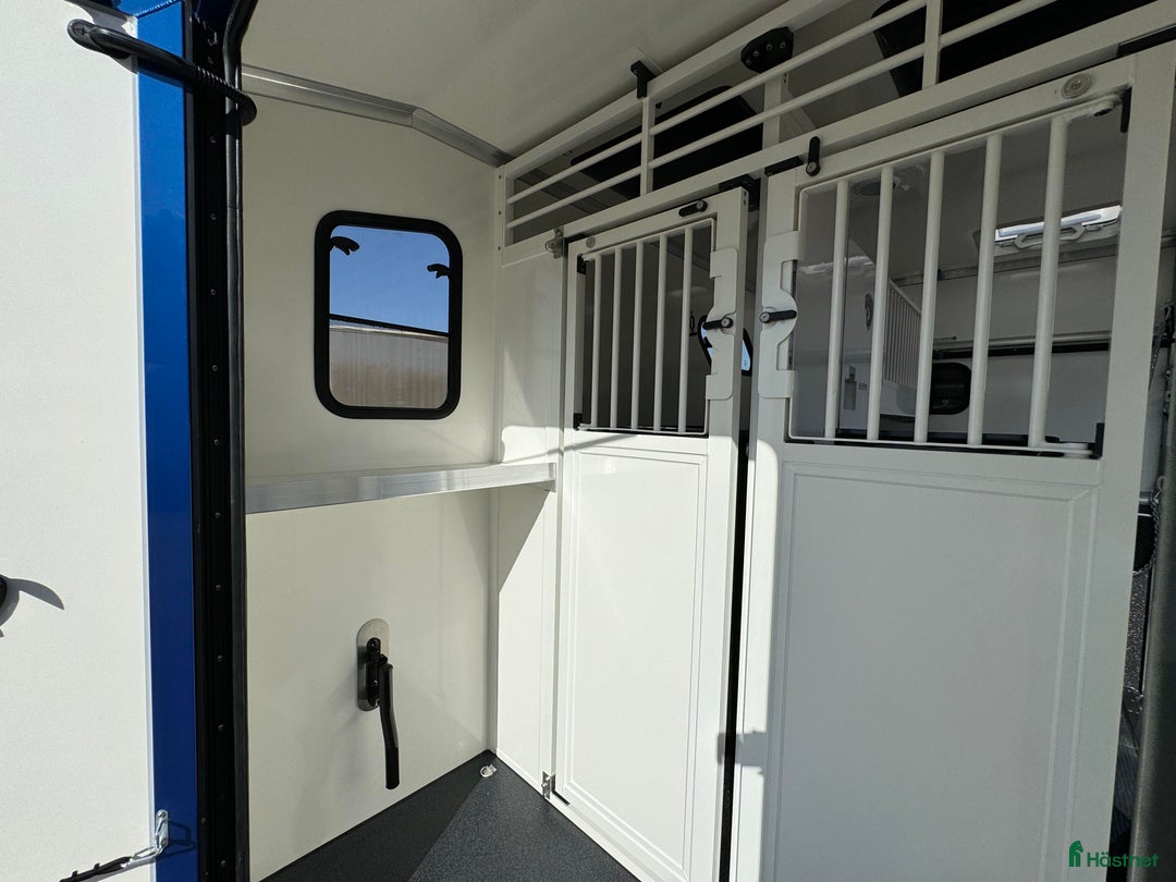 Hästlastbilar  fordon & transport till salu: PARAGAN EXCELSION 5XL STUTERI  i Köping - Annons 9