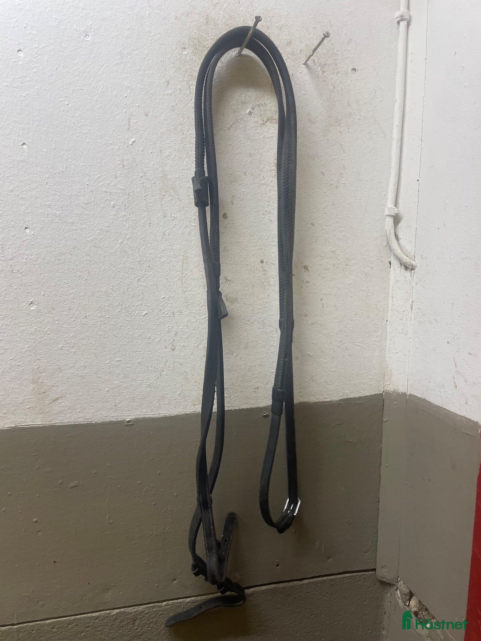 Träns hästutrustning till salu: Dyon gummityglar - Annons 1