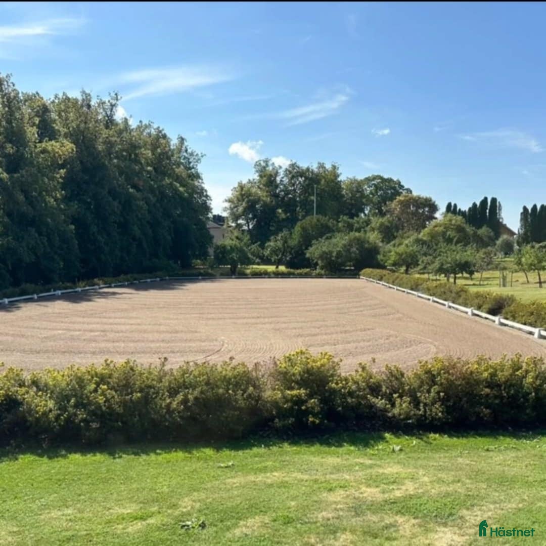  stallplats finnes: En box kvar på Almare Stäket! i Kungsängen - Annons 3