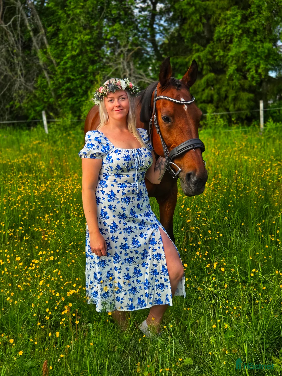 Galleribild {{count}}