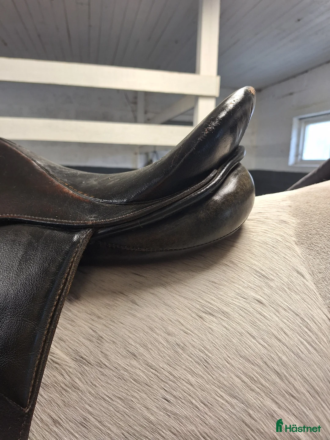 Sadlar hästutrustning till salu: Dressyrsadel till salu i Sturkö - Annons 10