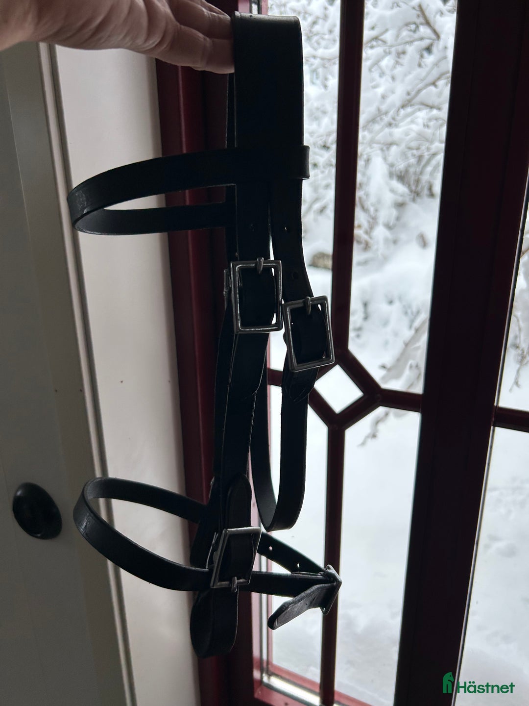 Övrig Körutrustning körning till salu: Körhuvudlag cob i Marieholmsbruk - Annons 2