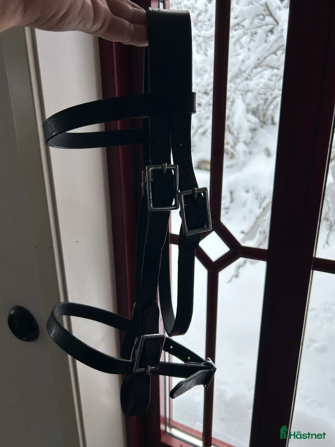 Övrig Körutrustning körning till salu: Körhuvudlag cob i Marieholmsbruk - Annons 2