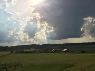 stallplats Stallplats i mindre stall - Annons 7