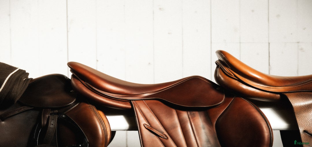 Galleribild {{count}}