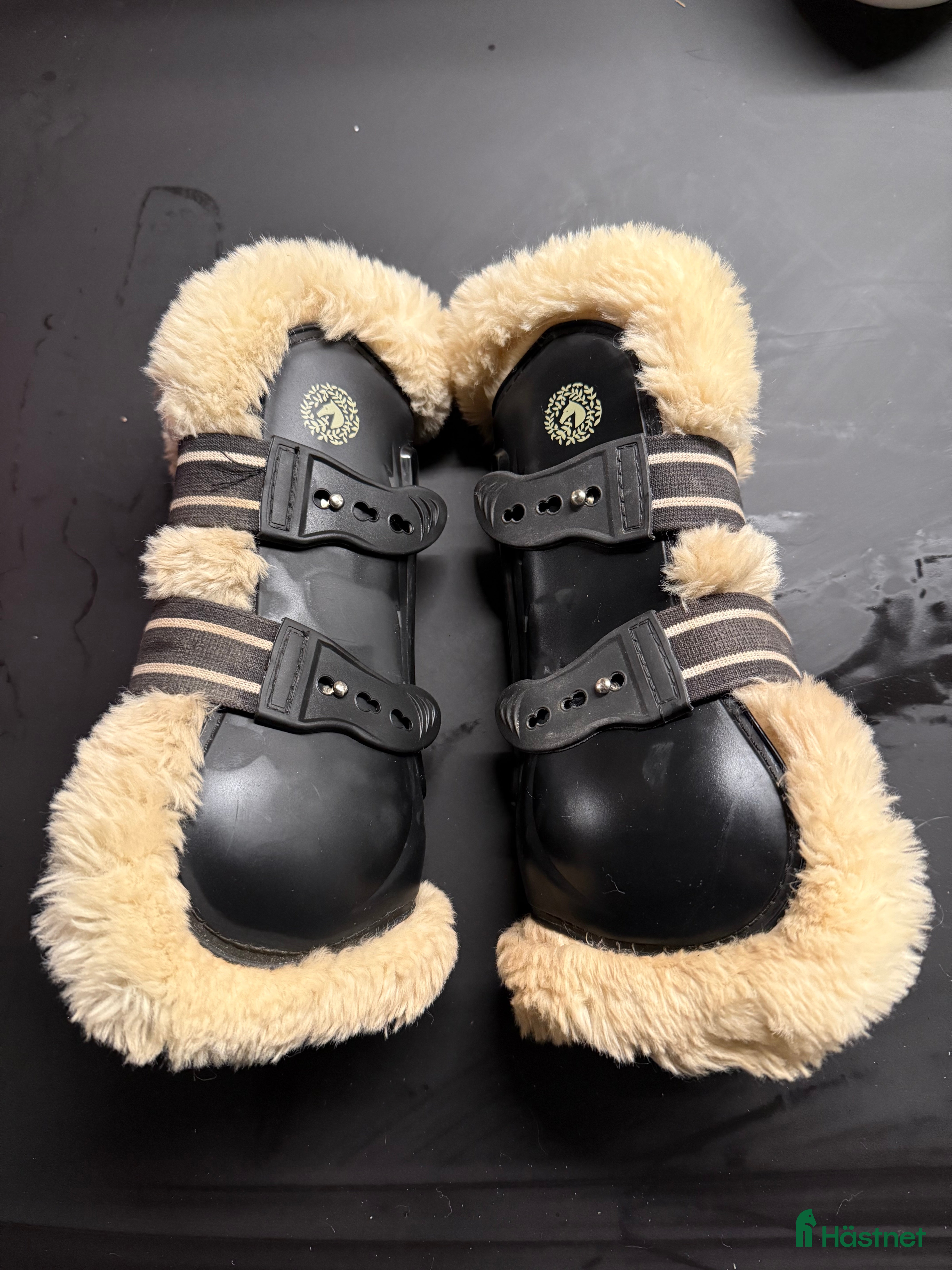 Benskydd hästutrustning till salu: Jacson Florens benskydd i Koppom - Annons 14