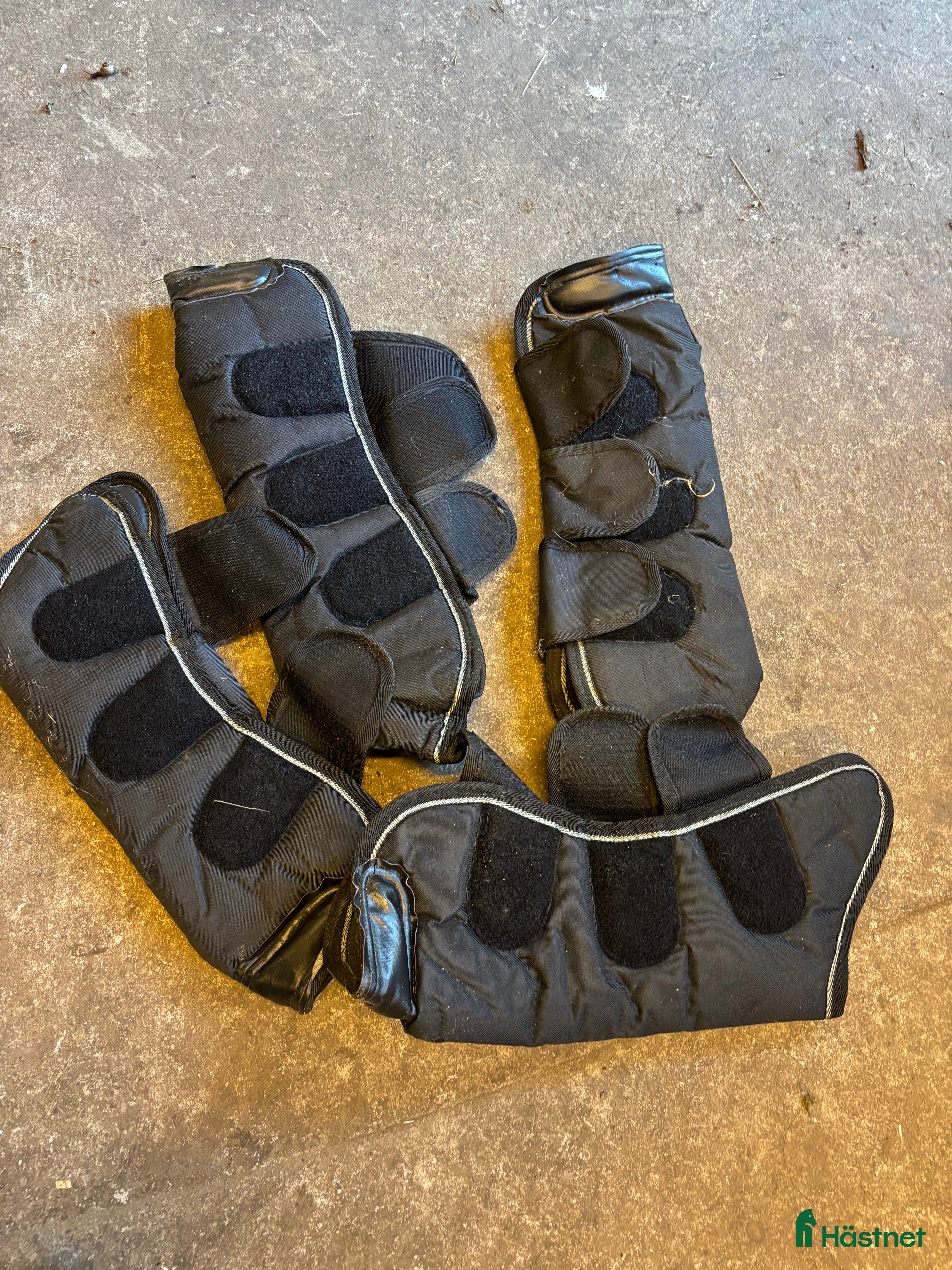 Benskydd hästutrustning till salu: Transportskydd storlek ponny  i Gullaskruv - Annons 5