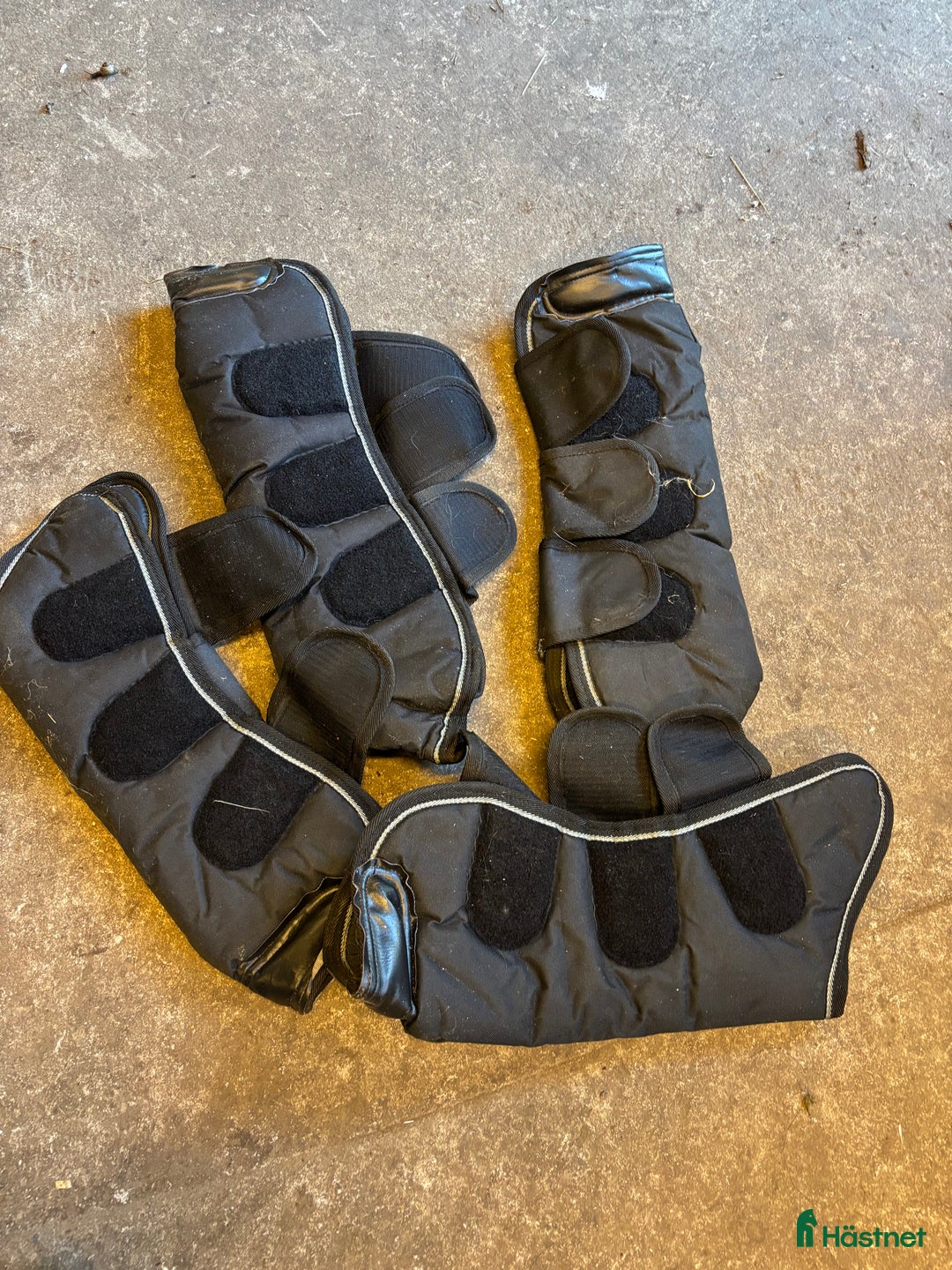 Benskydd hästutrustning till salu: Transportskydd storlek ponny  i Gullaskruv - Annons 1