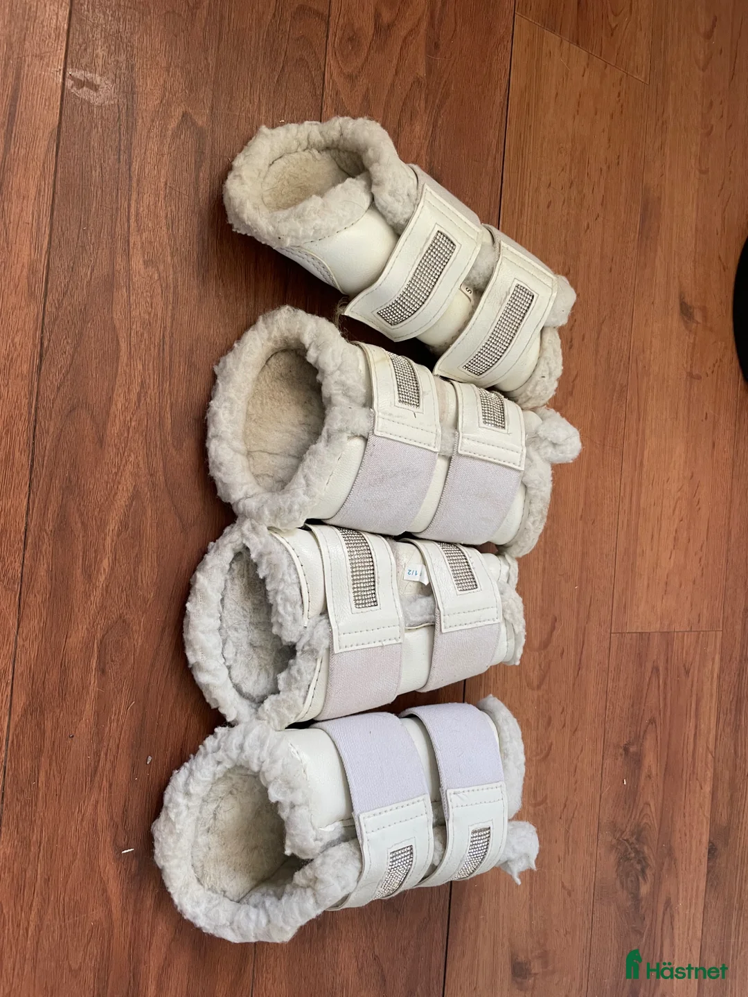 Benskydd hästutrustning till salu: Dressyr skydd  - Annons 2