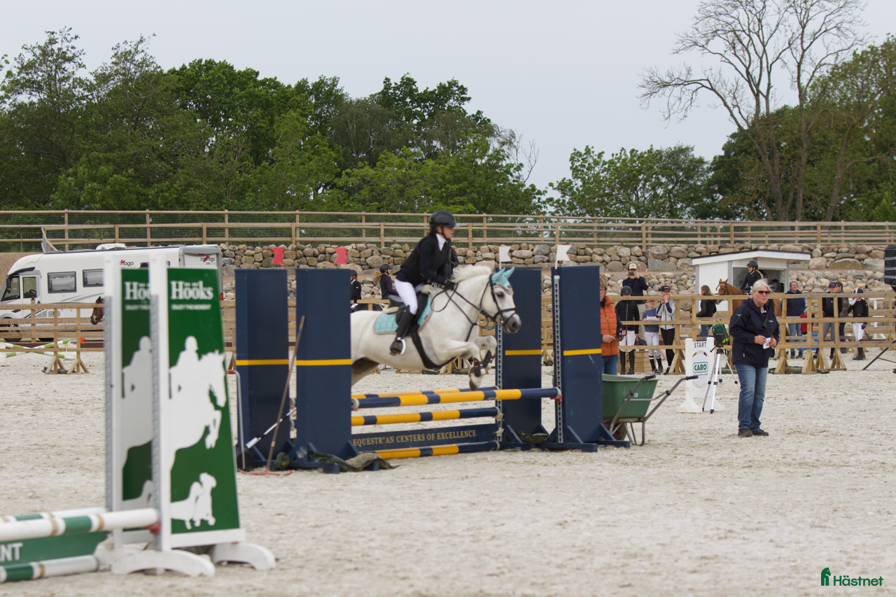  hästjobb Jobba och träna/tävla i Flyinge? i Flyinge - Annons 9