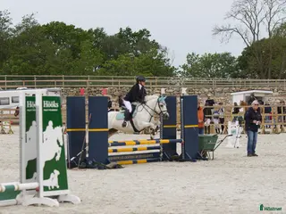 hästjobb finnes: Jobba och träna/tävla i Flyinge? i Flyinge - Annons 2