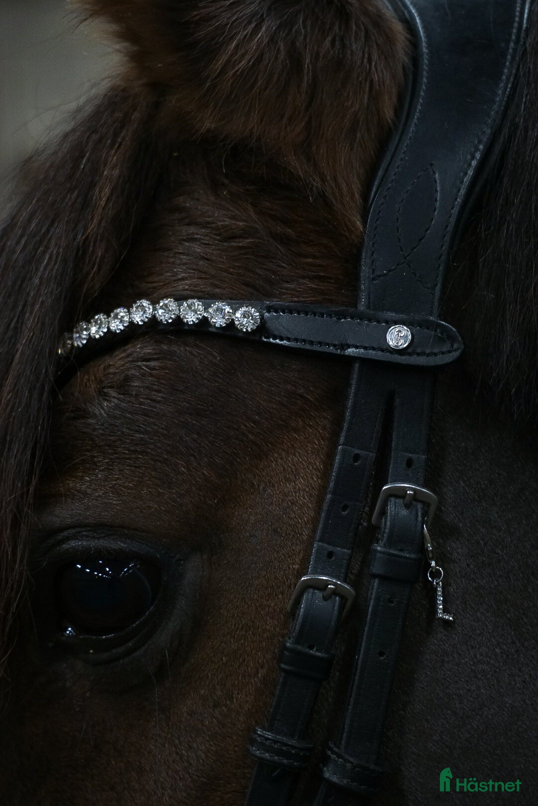 Övrig Hästutrustning hästutrustning till salu: Pannband med kristaller från PS💫 i Umeå - Annons 3