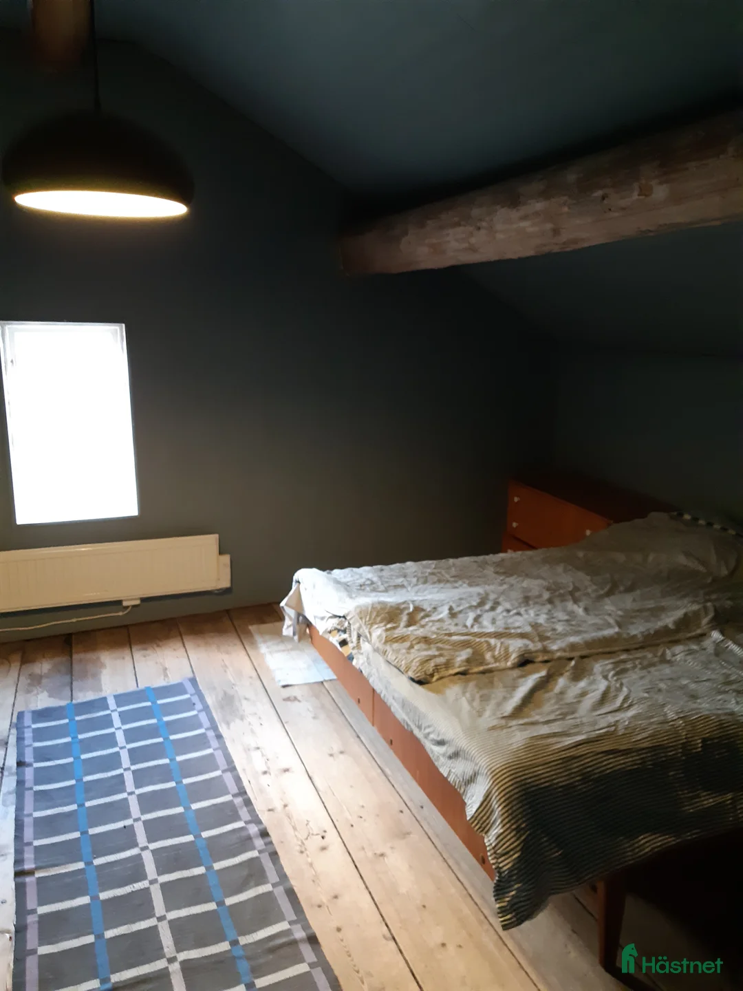  lägenhet till salu: Lägenhet på hästgård uthyres  i Norrtälje - Annons 2