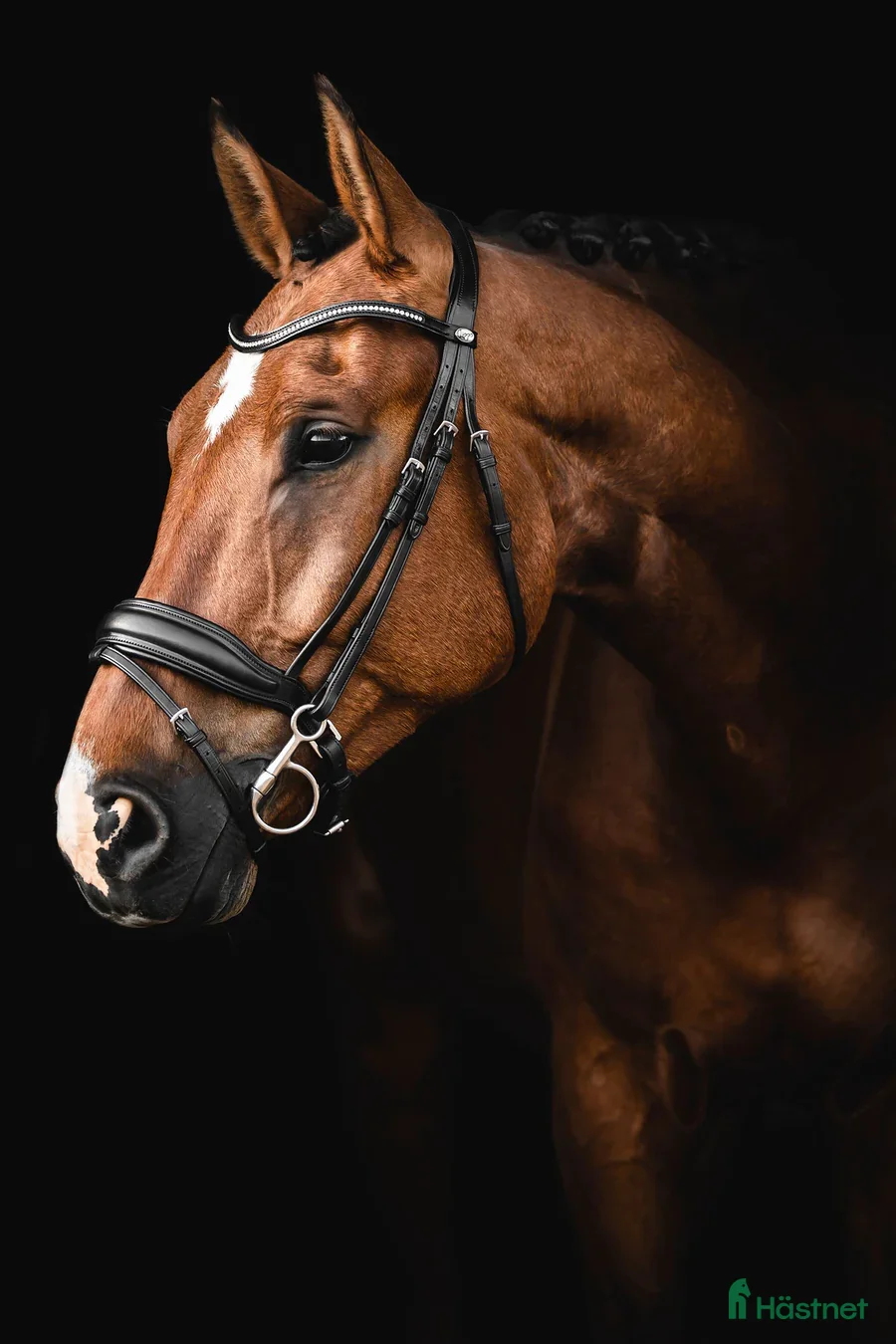 Träns hästutrustning Mörkbrunt Lippo Integro träns  - Annons 2