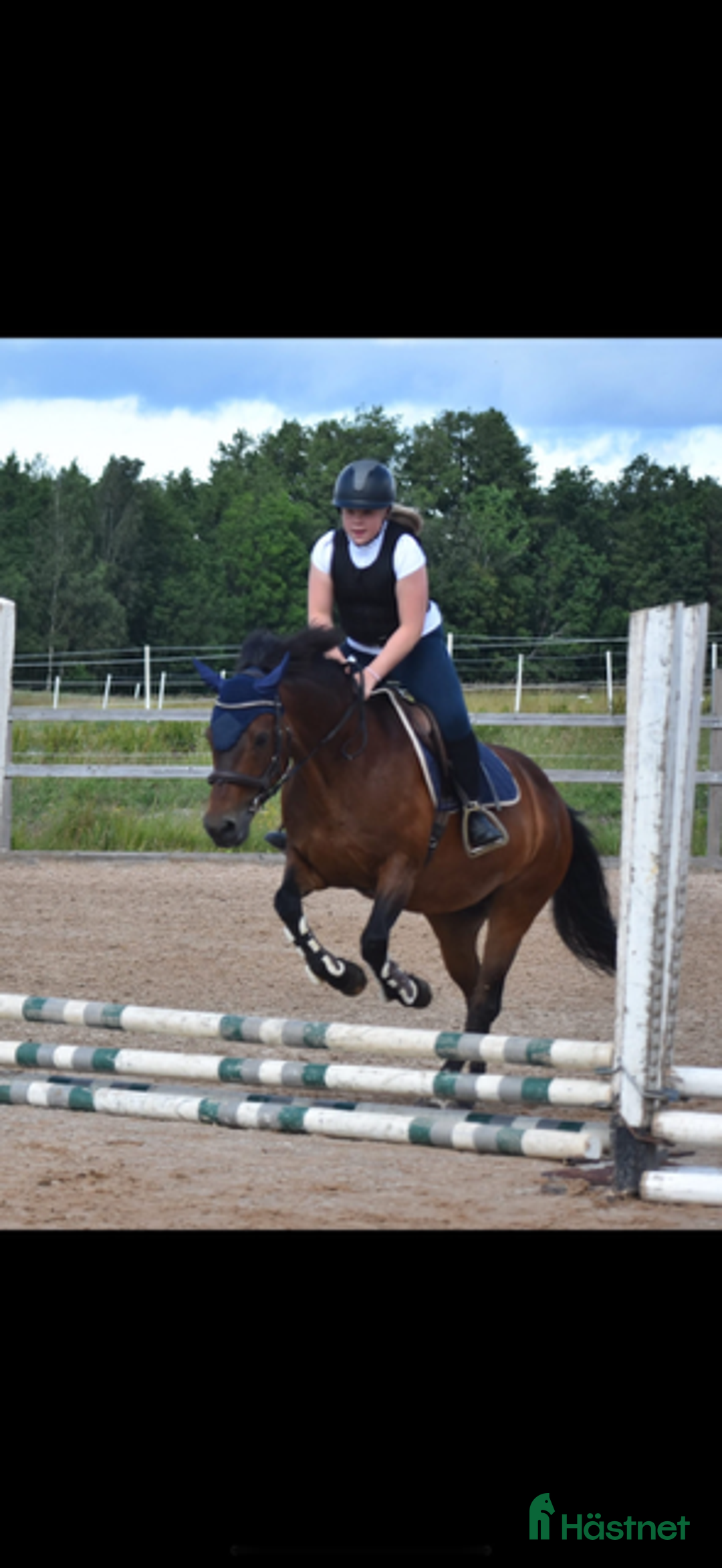 Allround hästar till salu: Bästa vännen säljes  i Mellerud - Annons 2
