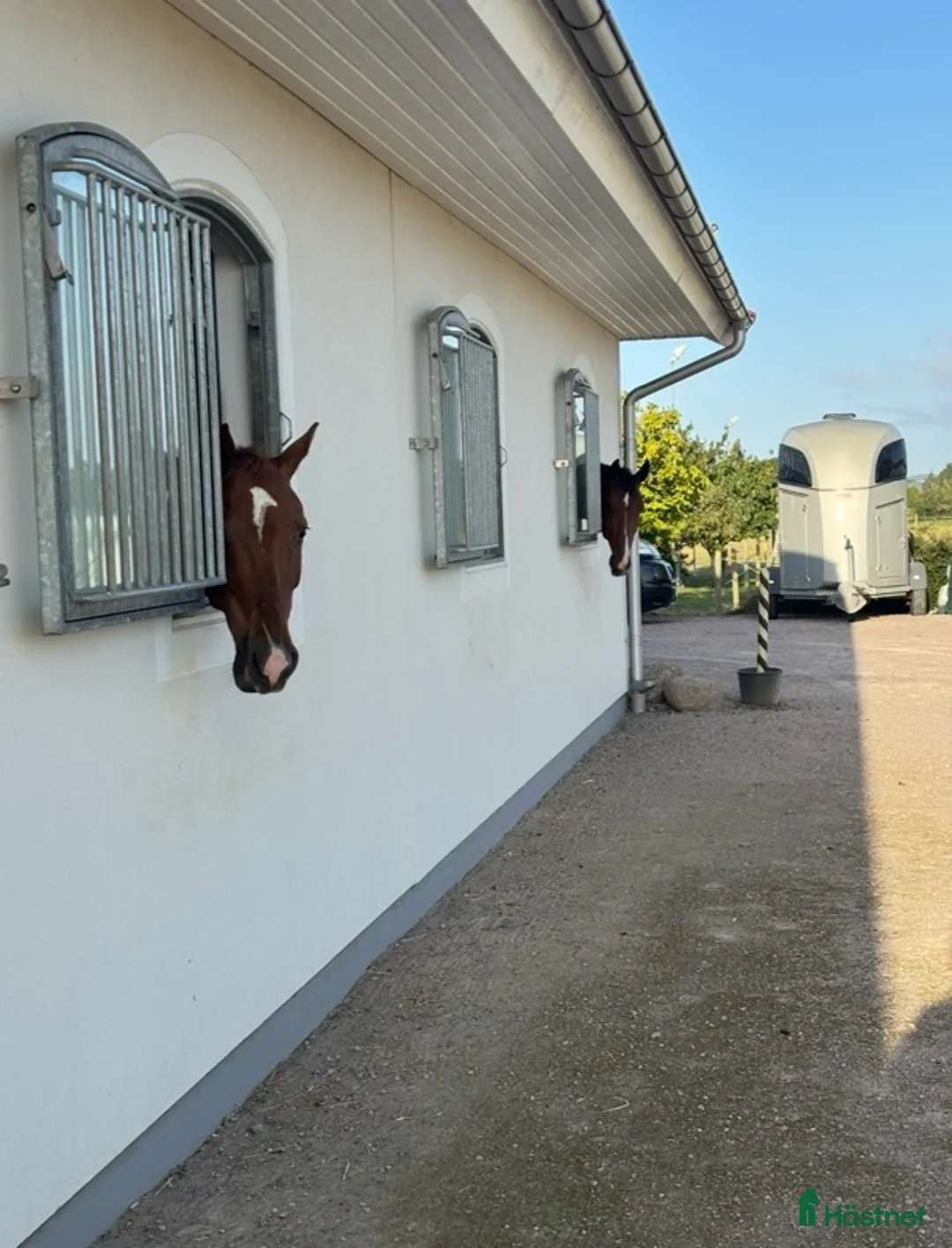  stallplats finnes: Boxplatser Östra Sandskogsvägen Ystad i Ystad - Annons 1