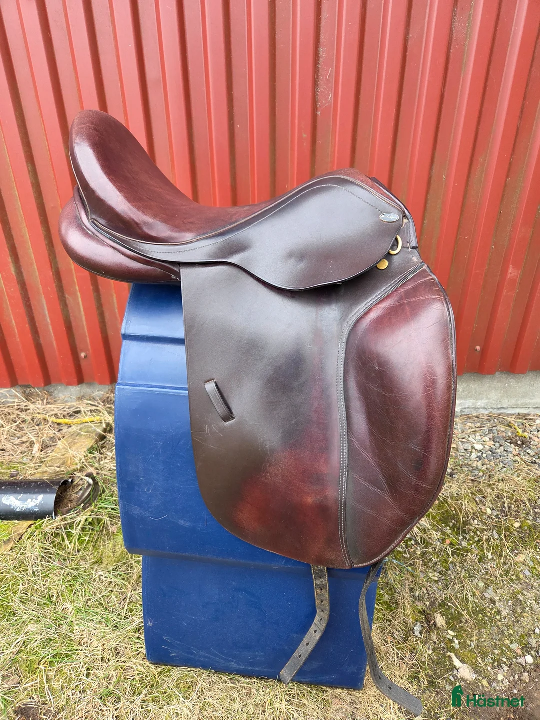 Sadlar hästutrustning till salu: Santa Cruz Roxette - Annons 1