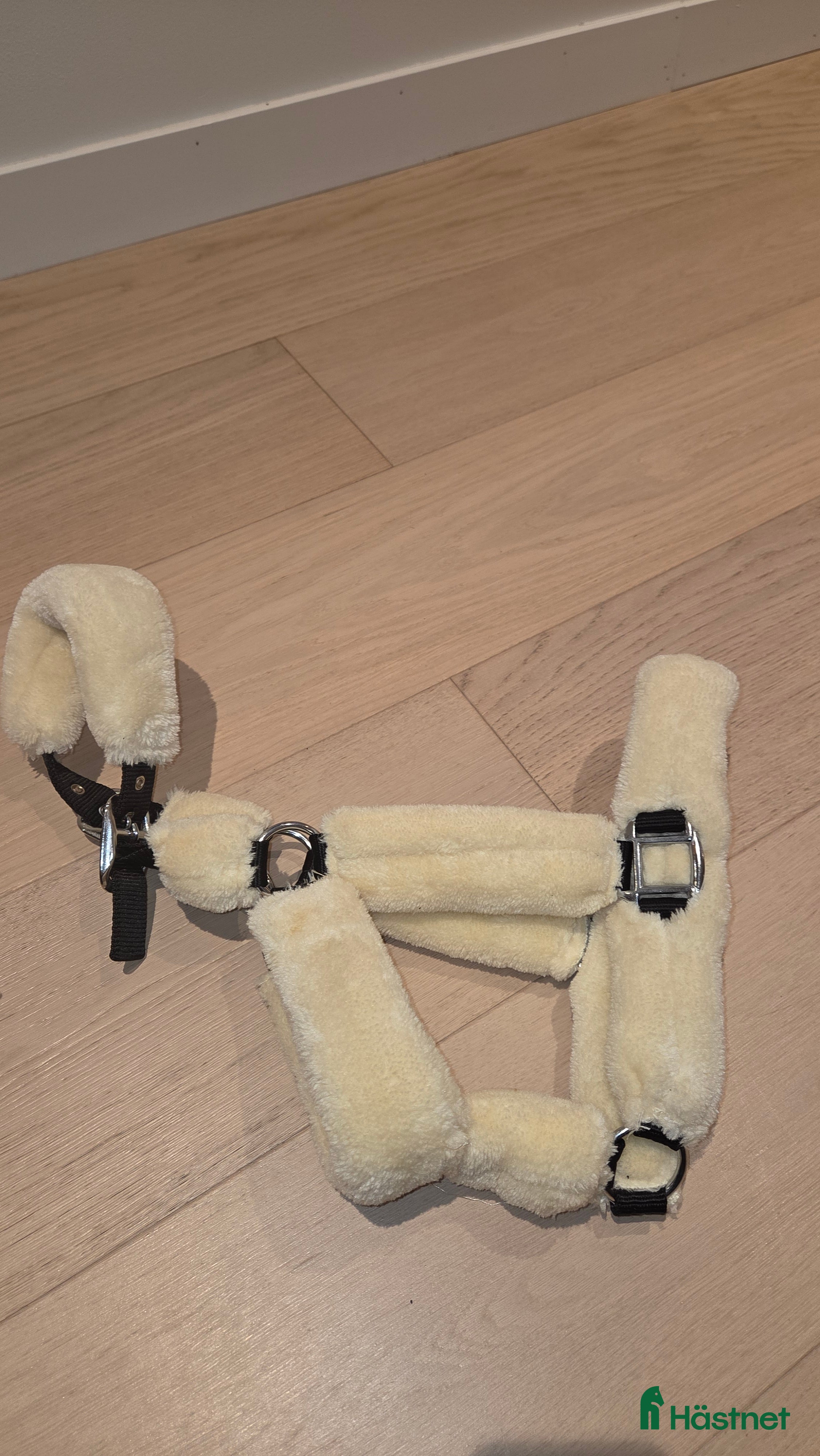 Övrig Hästutrustning hästutrustning till salu: Grimma  i Malmö - Annons 1