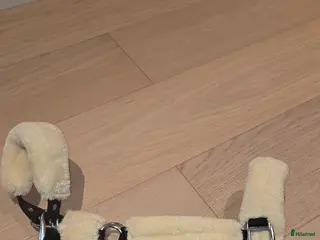 Övrig Hästutrustning hästutrustning Grimma i Malmö - Annons 10