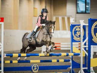 hästar Fantastiskt fin läromästare B-ponny i Luleå - Annons 19