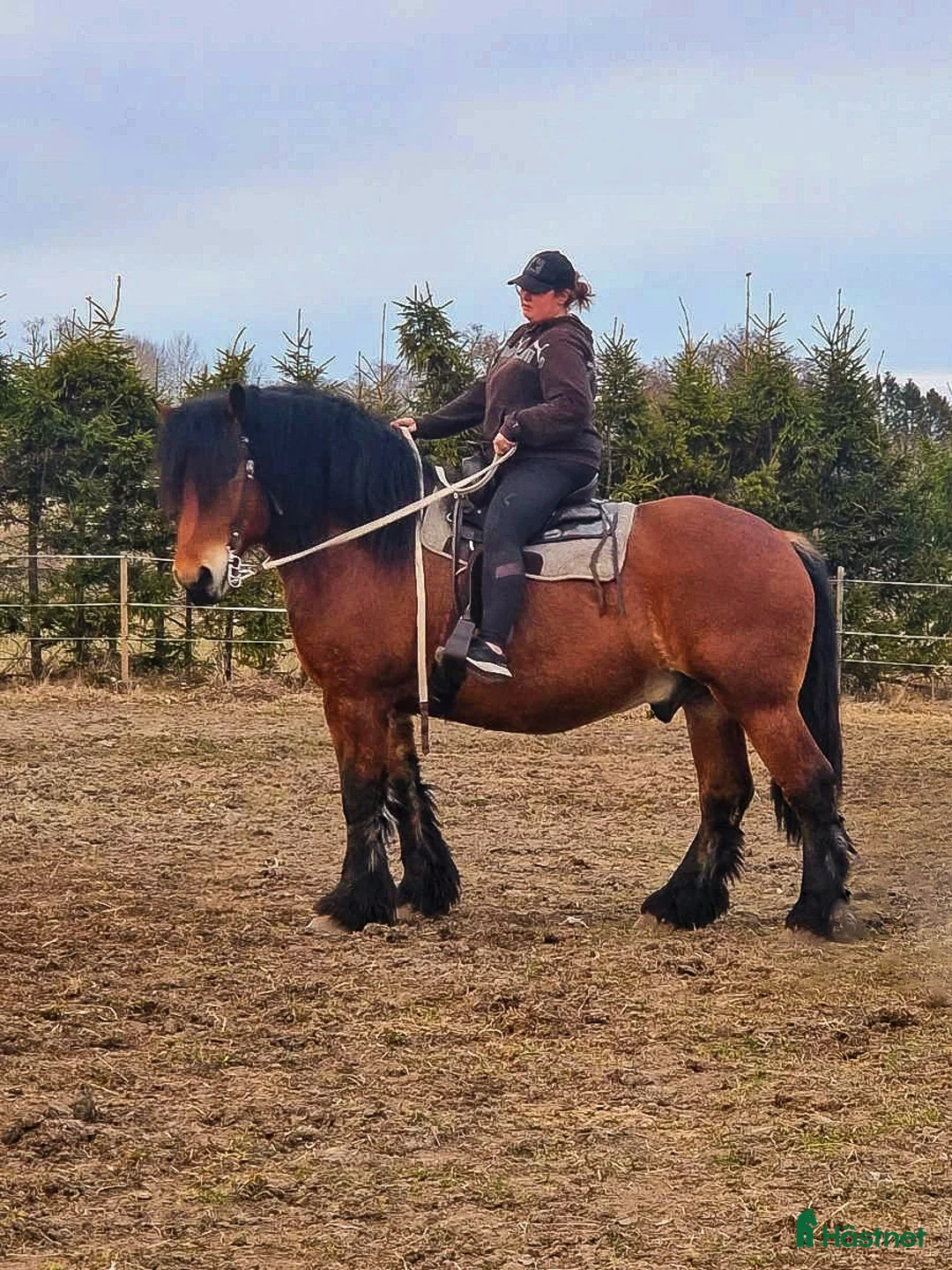 Galleribild {{count}}