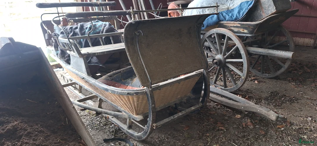 Körvagnar körning till salu: Hästvagnar och släde i Skövde - Annons 3