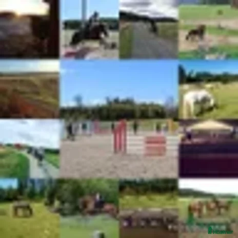 stallplats - Annons 8