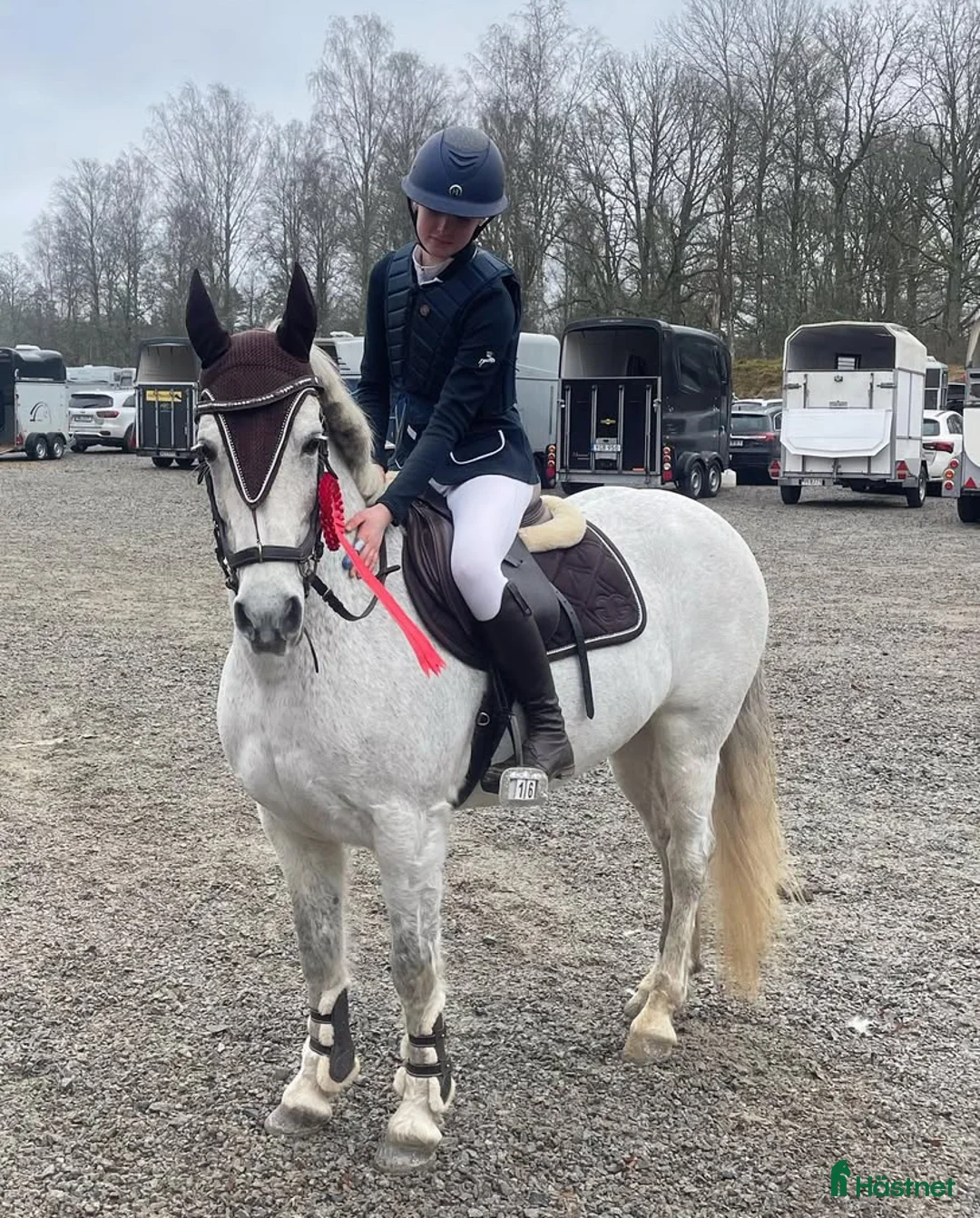 Övrigt hästar till salu: Våran lilla ögonsten i Myresjö - Annons 2