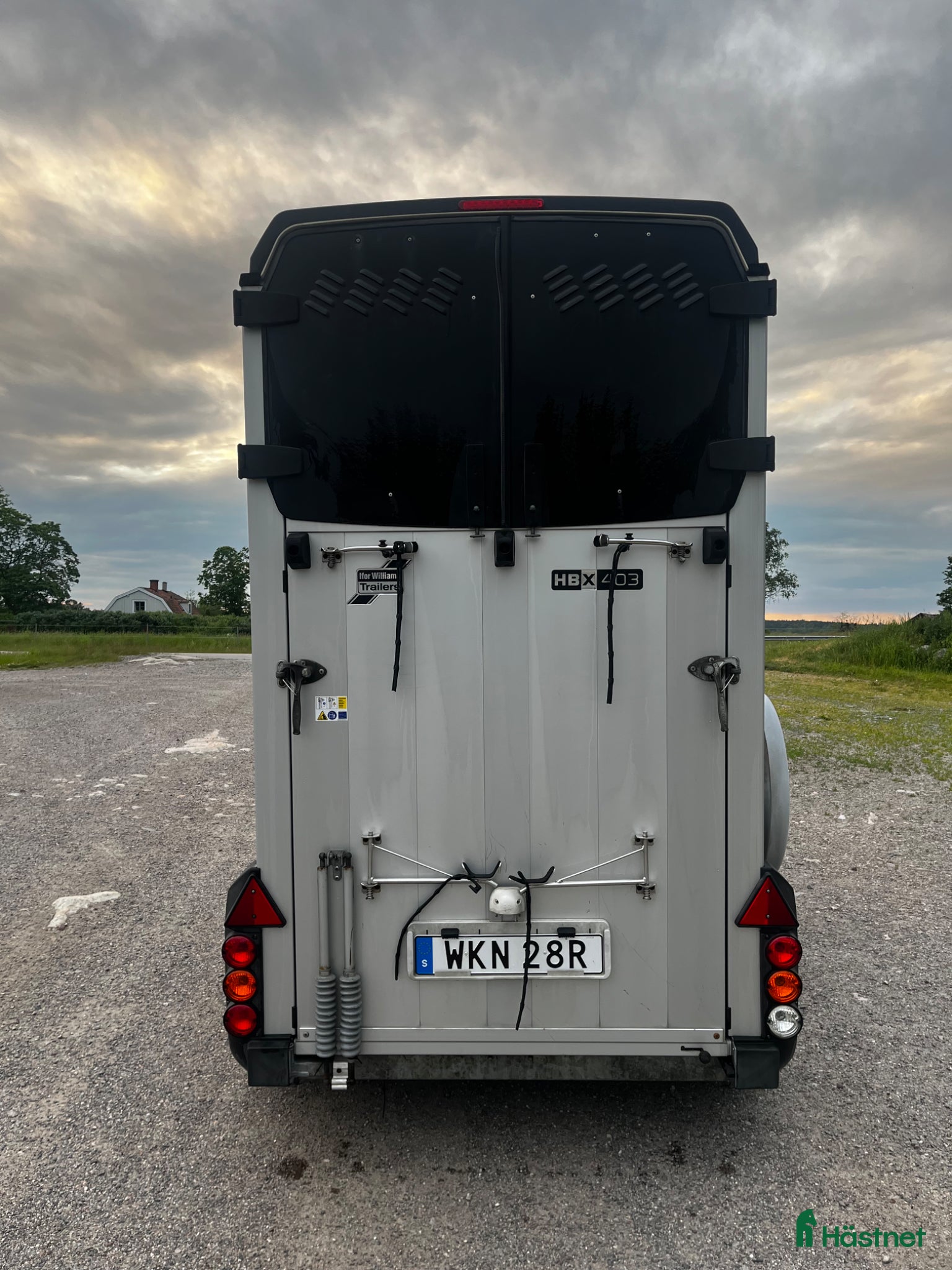 Hästtransporter  fordon & transport till salu: Ifor Williams HBX 403 2020/2021 – fri hemleverans i Vallentuna - Annons 3