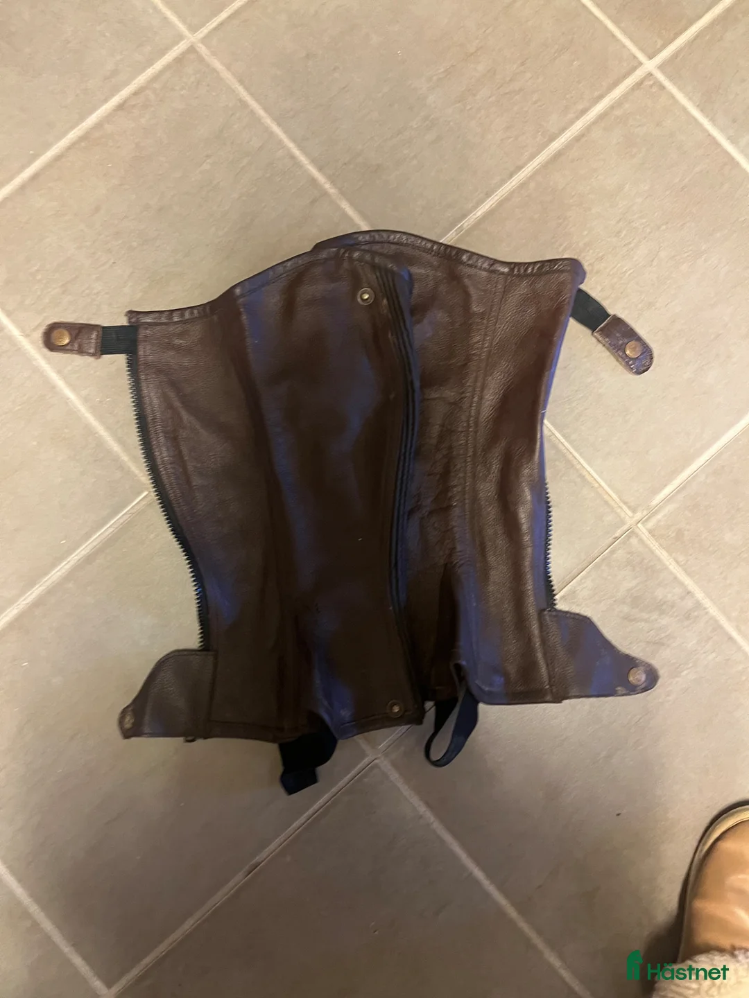 Övrig Ryttarutrustning ryttarutrustning till salu: Chaps  - Annons 3