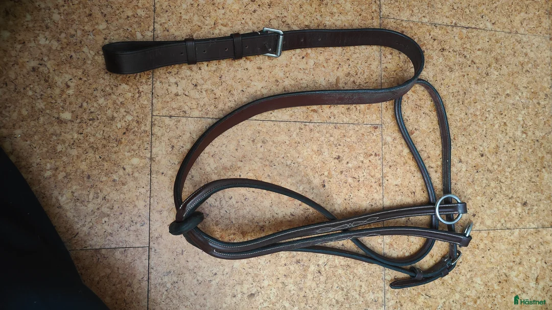 Övrig Hästutrustning hästutrustning till salu: Dyon och Iconic - martingal och graman, bruna  - Annons 3