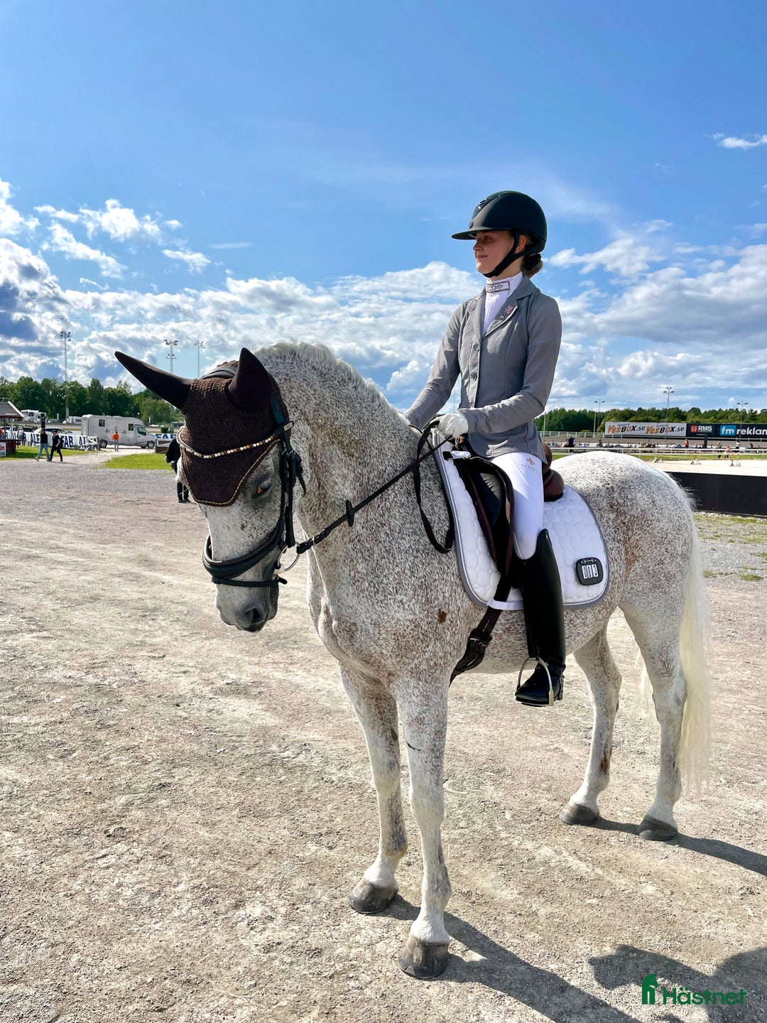  medryttarhäst sökes: Söker fyrbent kompis🐴 - Annons 1