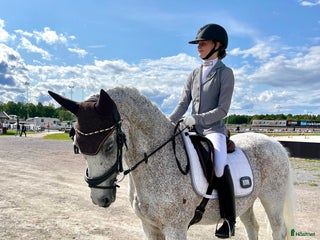 medryttarhäst sökes: Söker fyrbent kompis🐴 - Annons 1