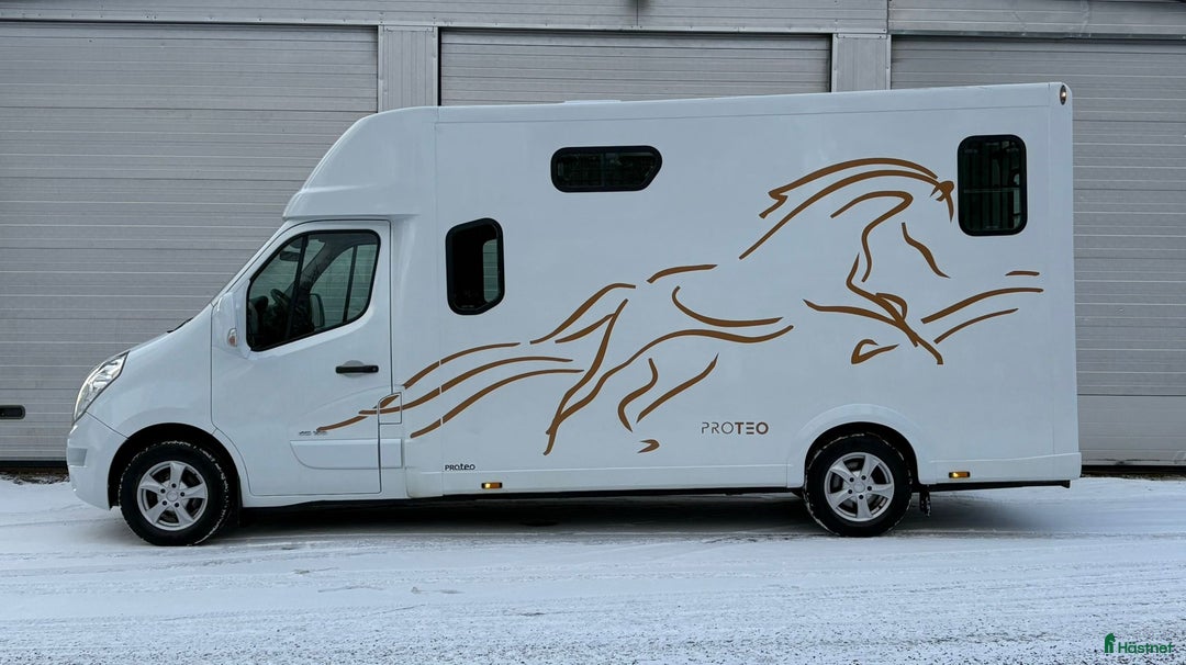 Hästlastbilar  fordon & transport till salu: 5-sitsig Theault Proteo STUTERI hästlastbil  i Stockholm - Annons 5