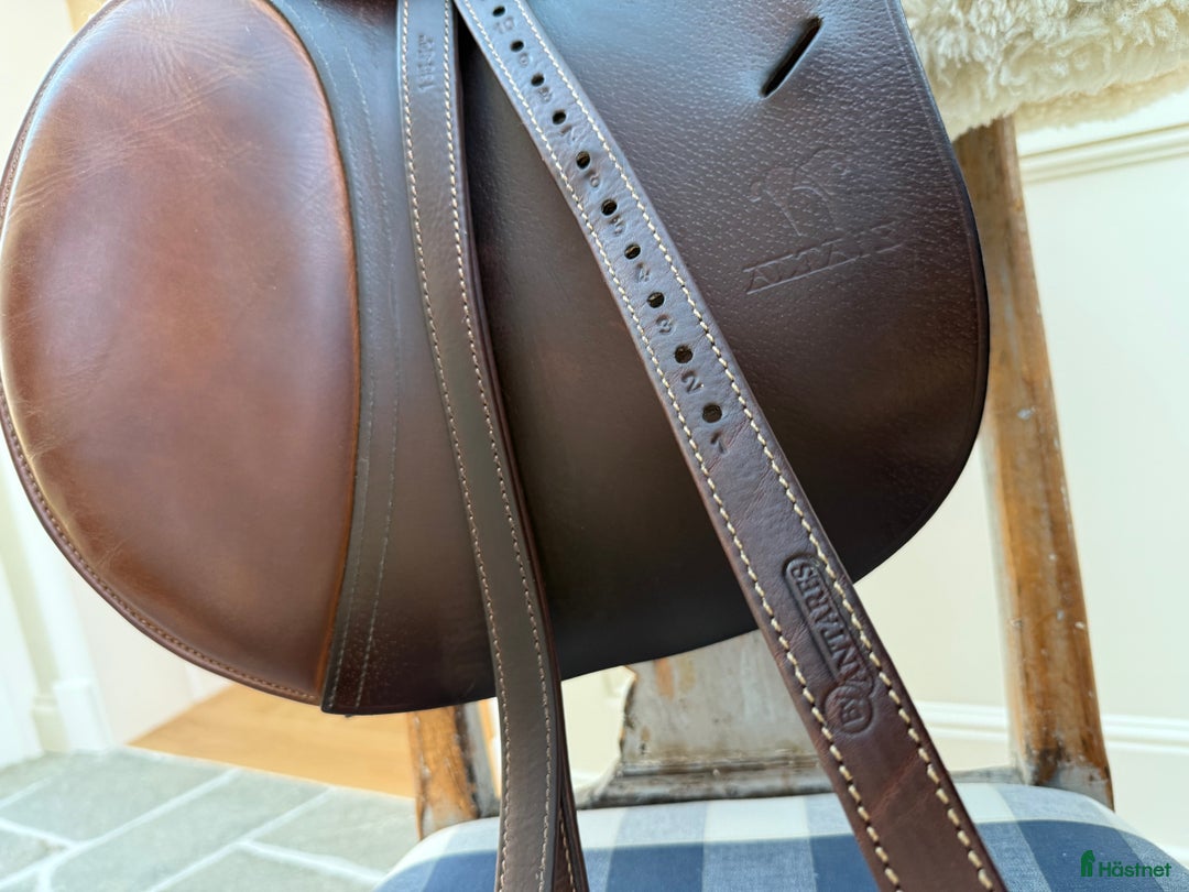 Sadlar hästutrustning till salu: Antares Altair i Drottningholm - Annons 3