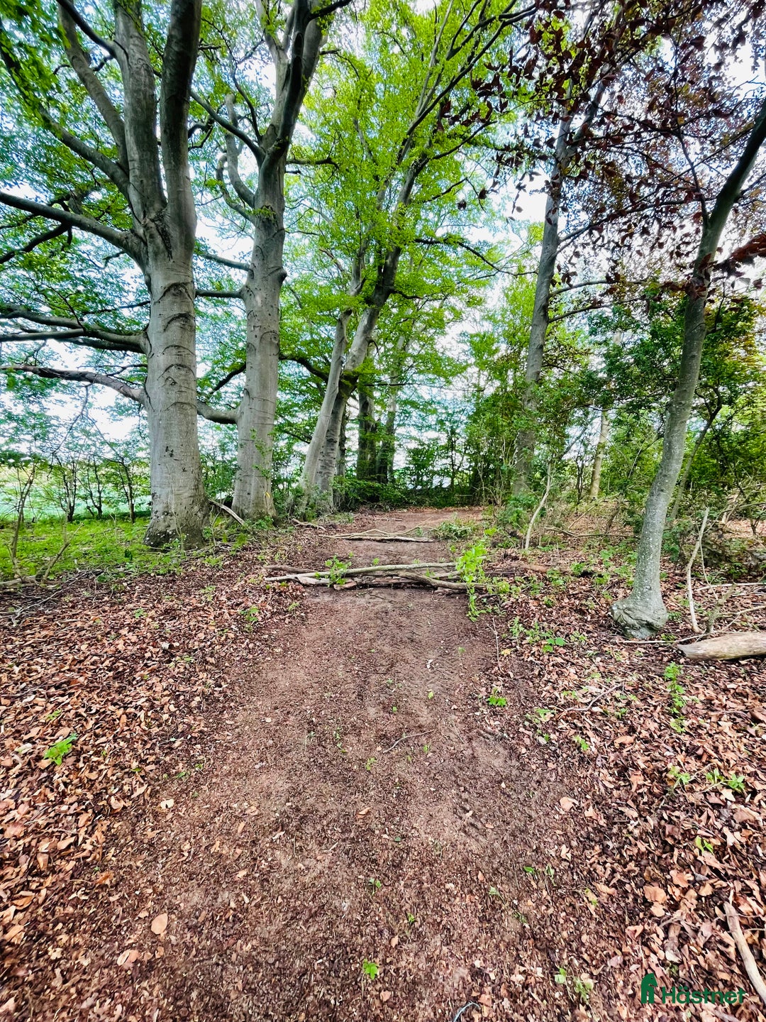  stallplats finnes: Stallplats centralt till Helsingborg  i Helsingborg - Annons 7