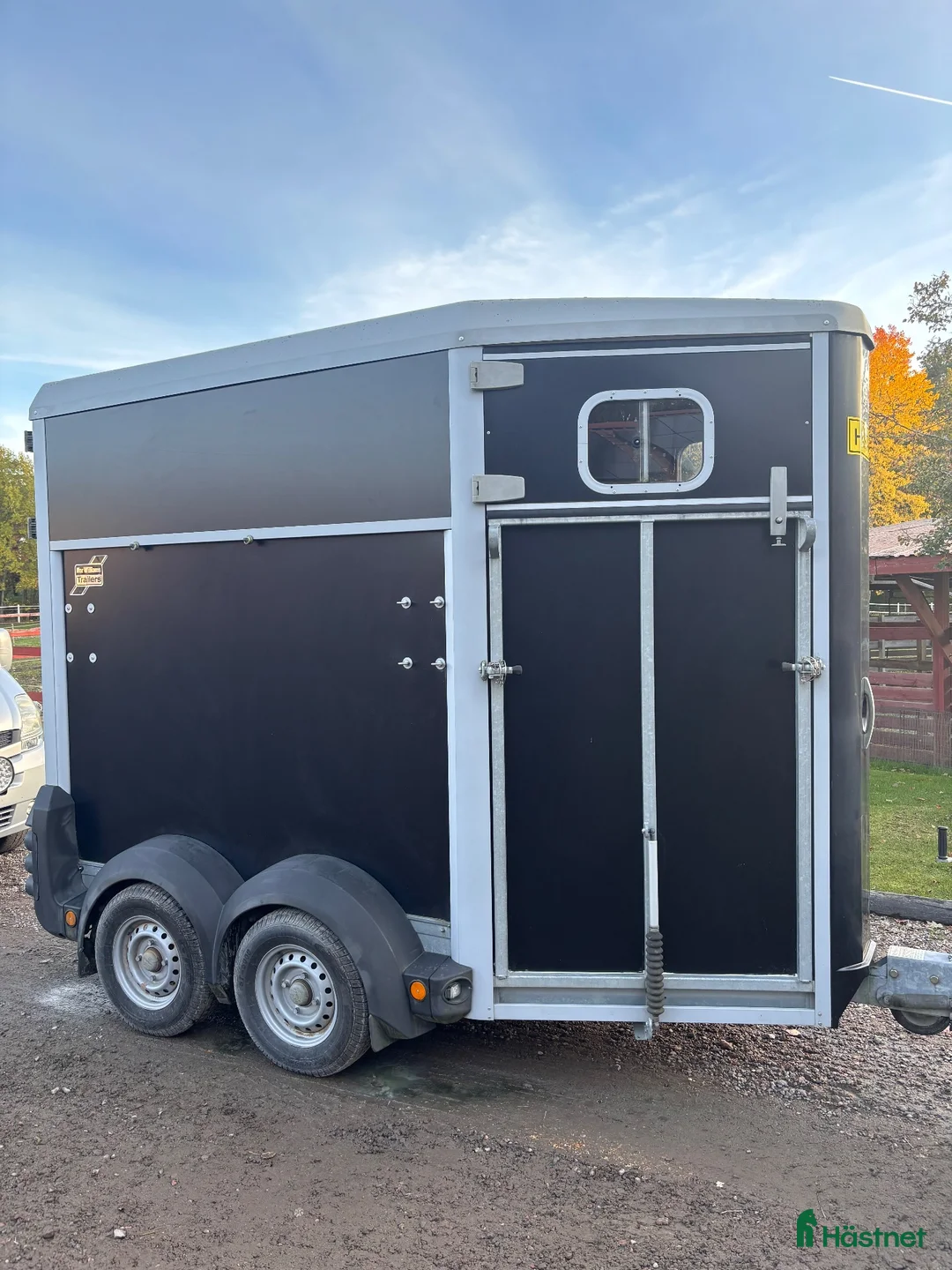 Hästtransporter  fordon & transport till salu: Ifor Williams HB403 (2017) - Annons 2