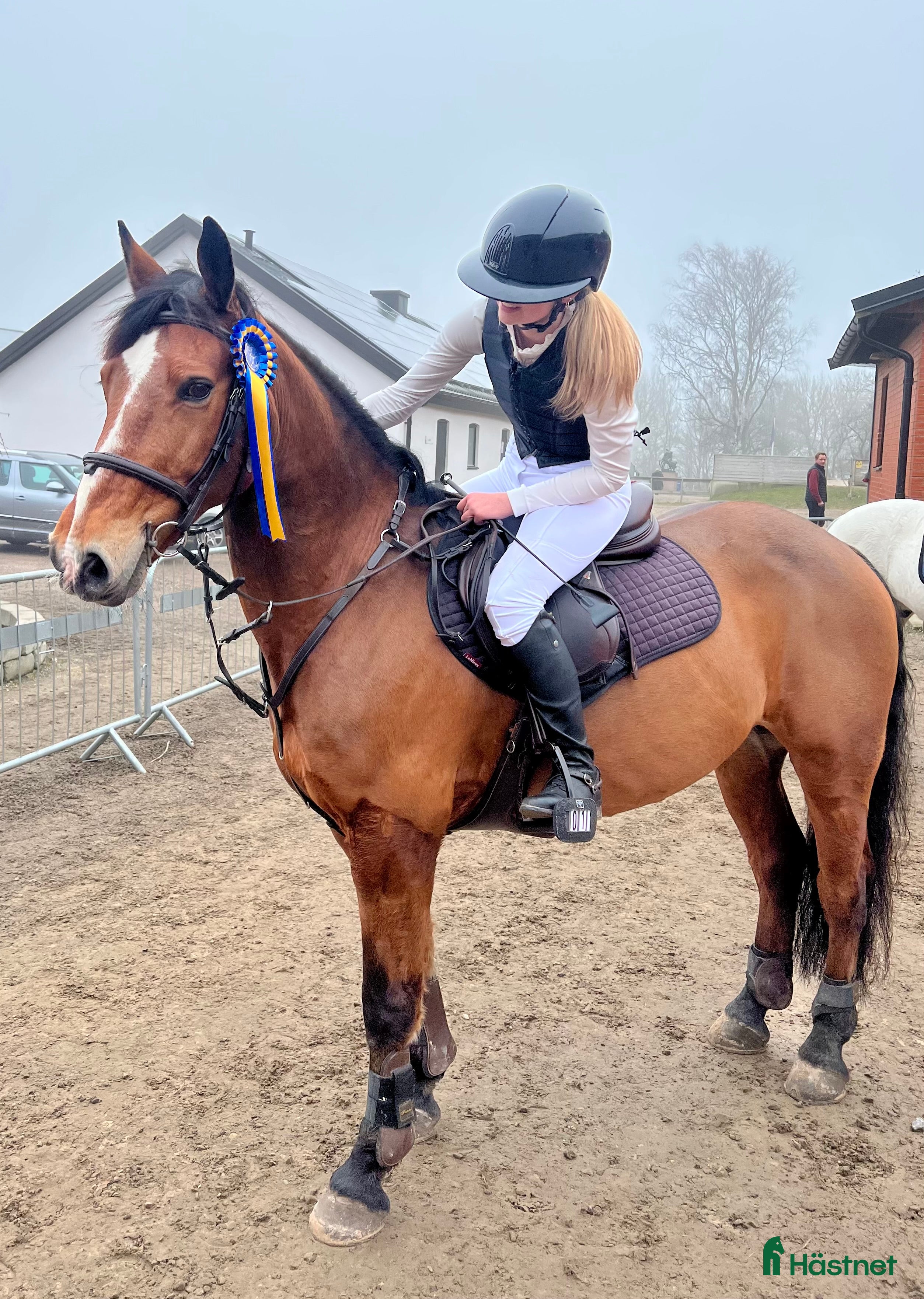  hästar Tillfälle att införskaffa er en Rosettplockare! - Annons 3