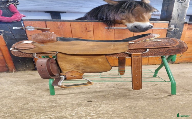 Sadlar hästutrustning till salu i Blidsberg - Annons 19