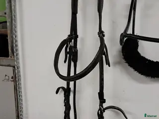 Övrig Travutrustning trav till salu: Blandad travutrustning - Annons 1