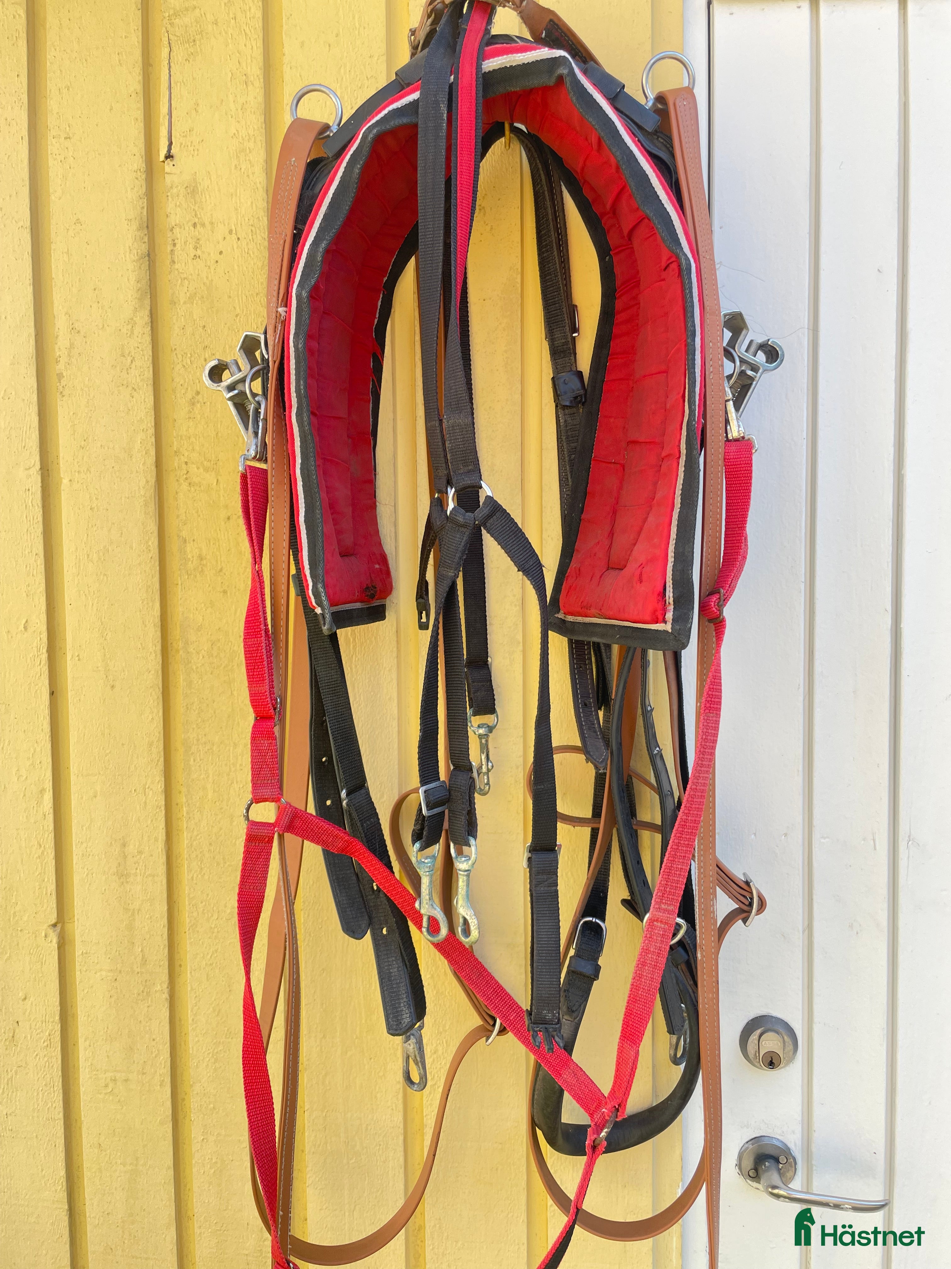 Övrig Travutrustning trav till salu: Travutrustning inkl sele i Vallentuna - Annons 15