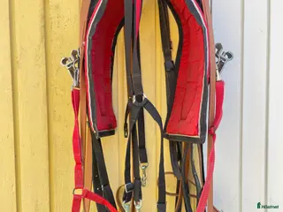 Övrig Travutrustning trav till salu: Travutrustning inkl sele i Vallentuna - Annons 22