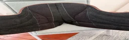 Sadlar hästutrustning till salu: Omega Innovation Dressage ridpad/barbackapad  - Annons 7