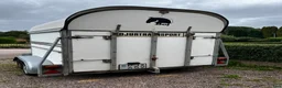Hästtransporter  fordon & transport till salu: BOJ BRAVO - Annons 3
