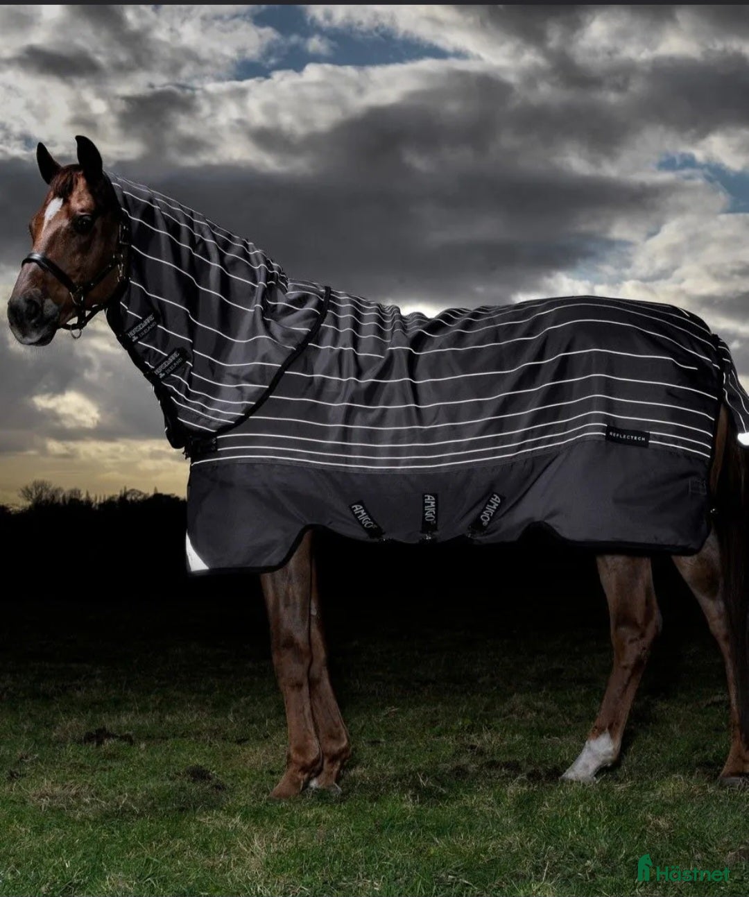 Täcken hästutrustning till salu: 🌸 Helt Oanvänt Täcke 🌸 i Strömstad - Annons 5