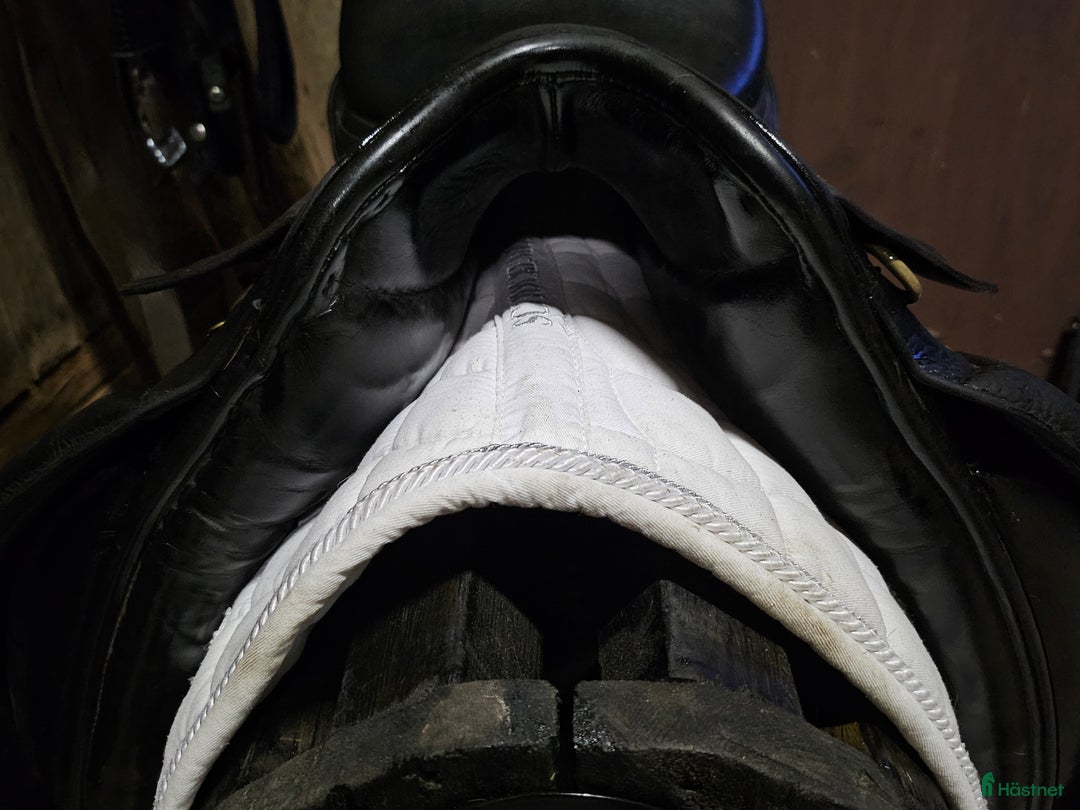 Sadlar hästutrustning till salu: Svart dressyrsadel nyomstoppad i Halmstad - Annons 3