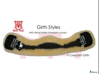 Sadeltillbehör hästutrustning till salu: Mattes Cresentgjord i Halmstad - Annons 6