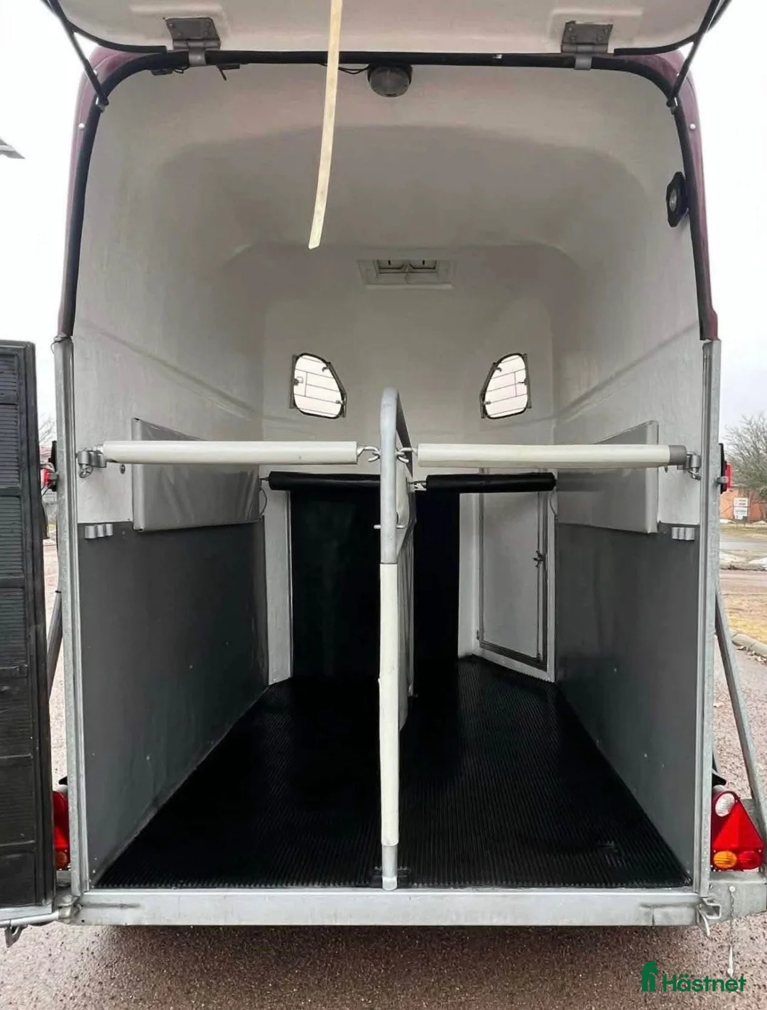Hästtransporter  fordon & transport till salu: Cheval liberte gold - Annons 4