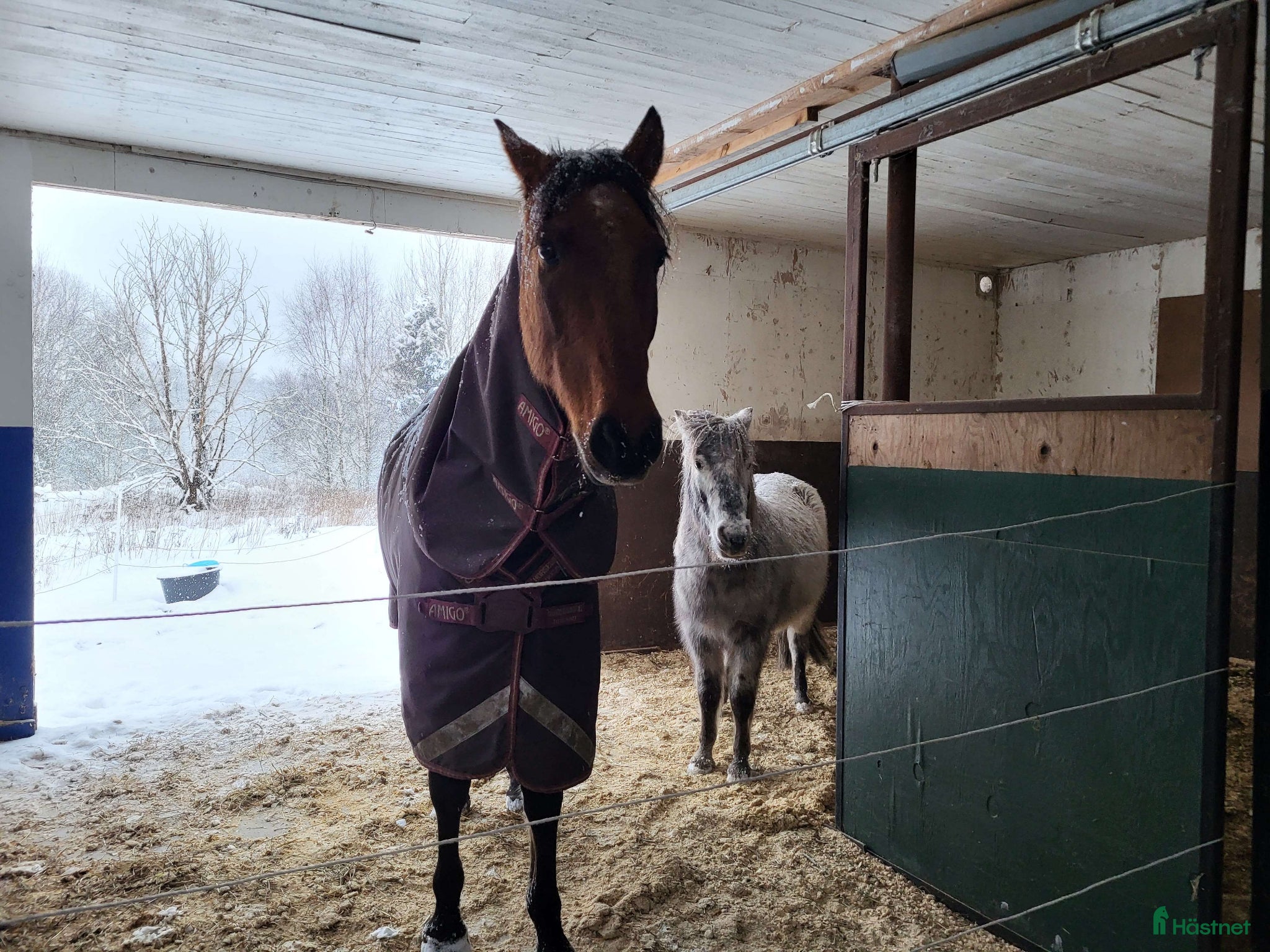  stallplats finnes: Fullservice Lösdrift  i Ljung - Annons 3