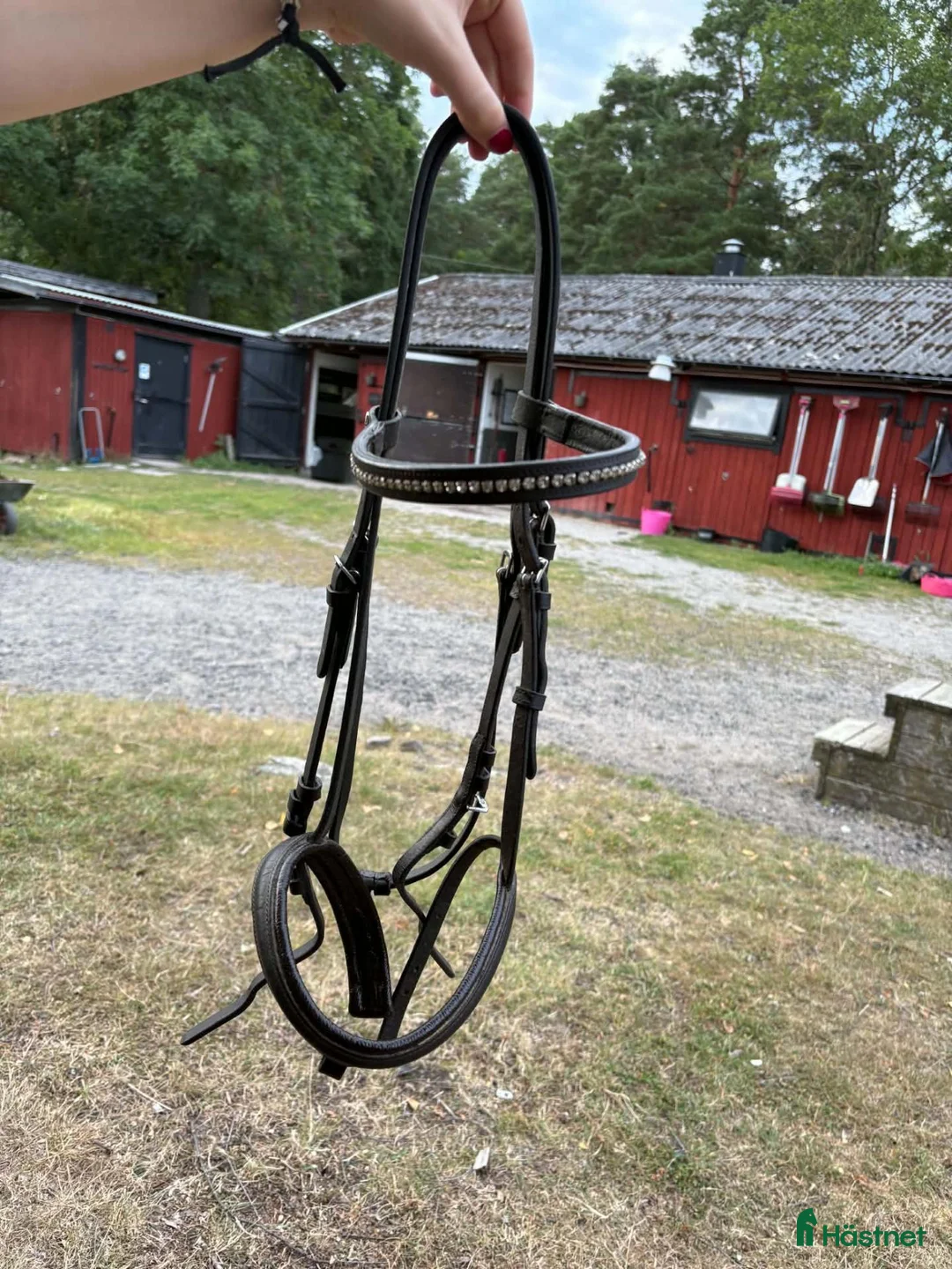 Träns hästutrustning till salu: Fairfield träns - Annons 2